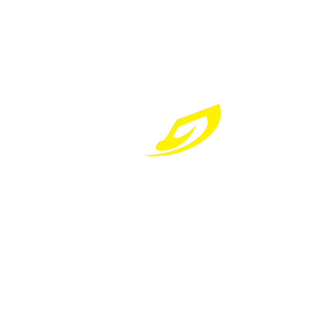 LOGO PROTORK - BRANCO_20250609_120337_0000